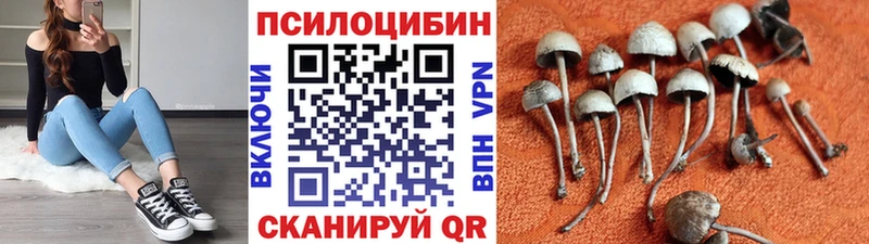 Галлюциногенные грибы мицелий  Купить где  Балтийск 