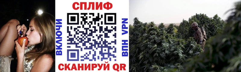 Канабис сатива  Купить где  Балтийск 